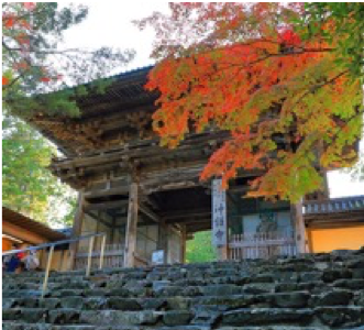 （終了）京都の旅 「紅葉の神護寺と念仏寺を訪ねる」（11月16日・17日）